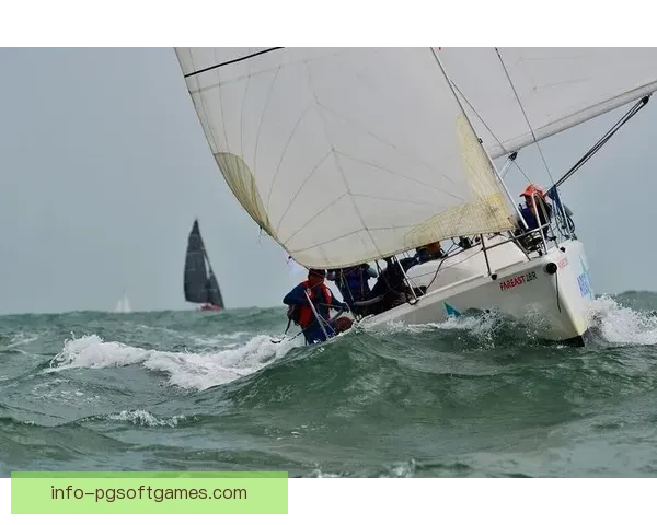 帆船比赛：挑战风浪，征服海域